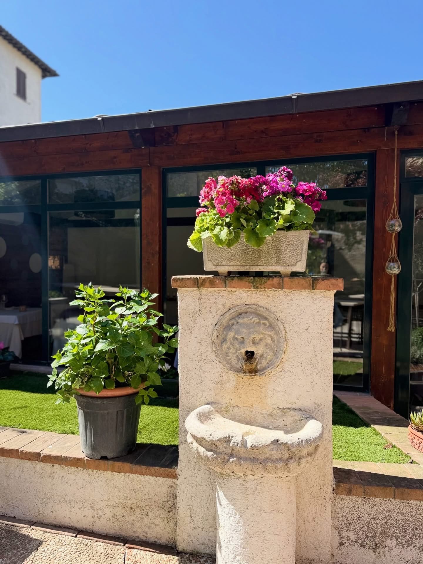 La fontanella di pietra della corte, con i fiori