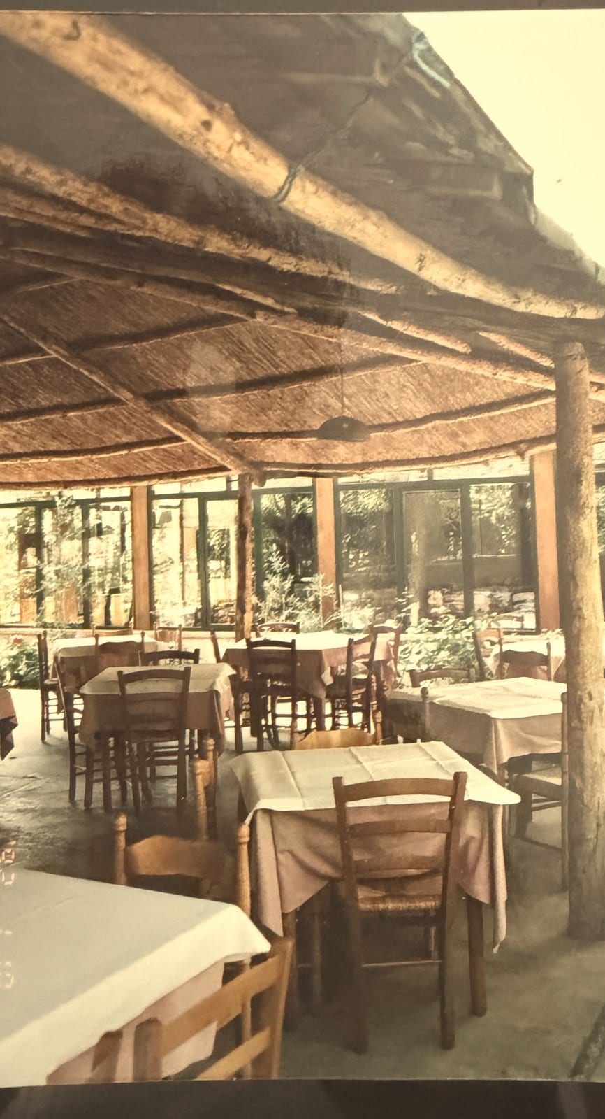 La corte della trattoria coi tavoli sotto il pergolato di canne, foto d'epoca